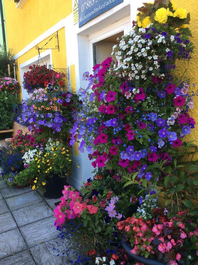 Globe Guesthouse Burry Port Exterior photo